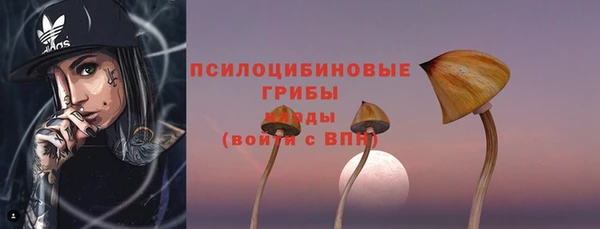 стафф Алексин