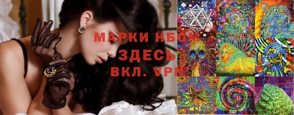 стафф Алексин