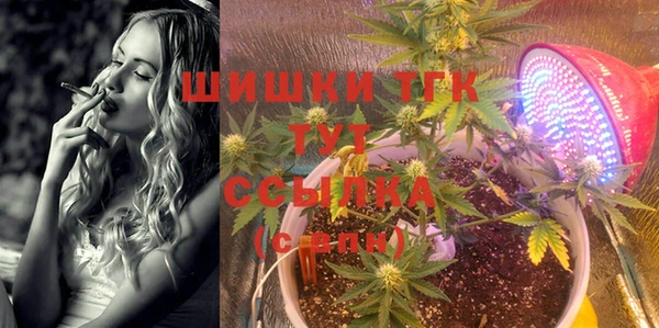 стафф Алексин