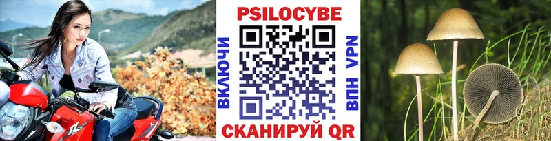 Галлюциногенные грибы MAGIC MUSHROOMS  как найти закладки  блэк спрут сайт  Тимашёвск 